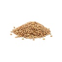 Lentejas x 1kg - Cundis
