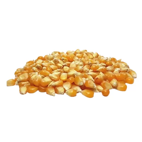 Maiz pisingallo x 1kg x 3u