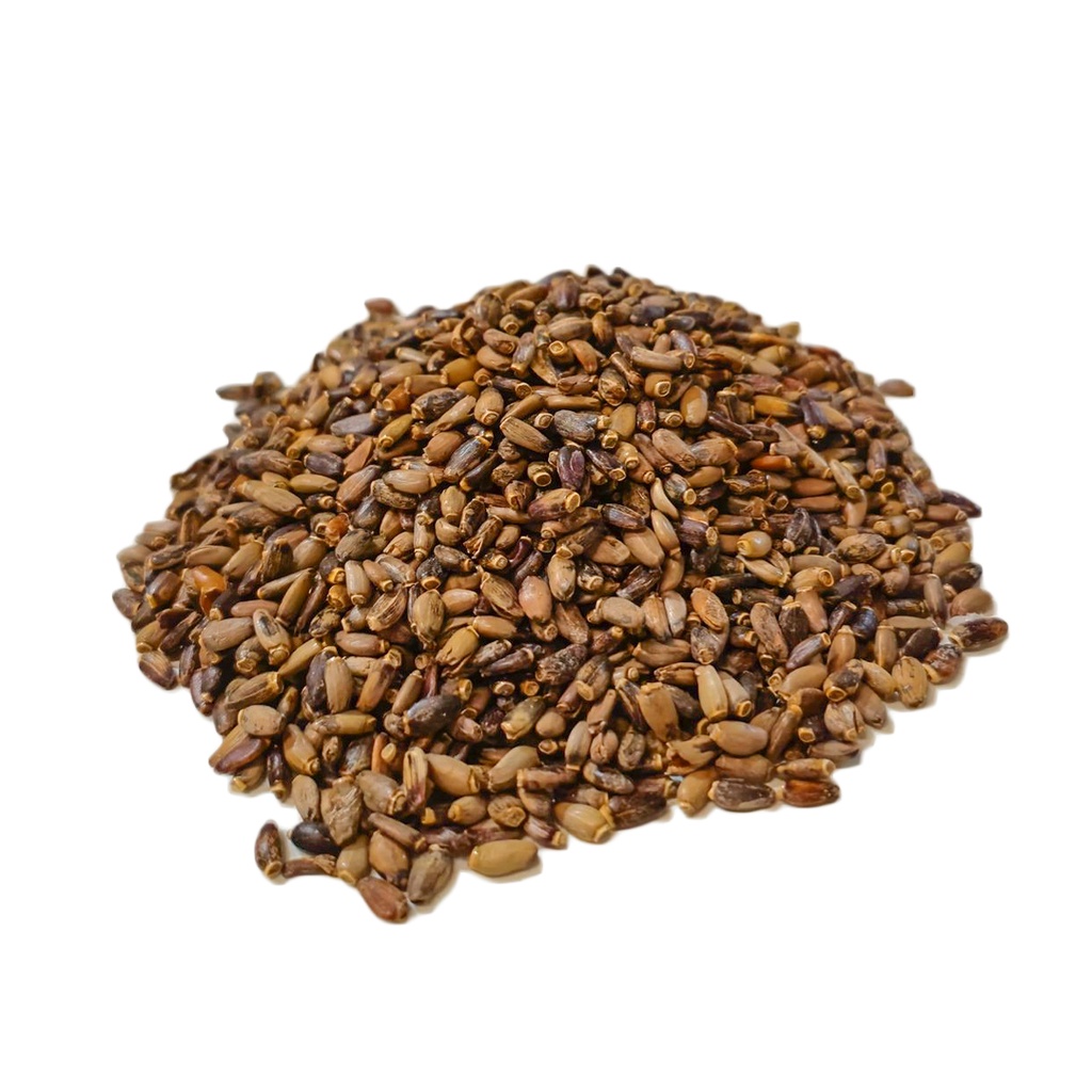 Cardo Mariano x 500grs x 1u