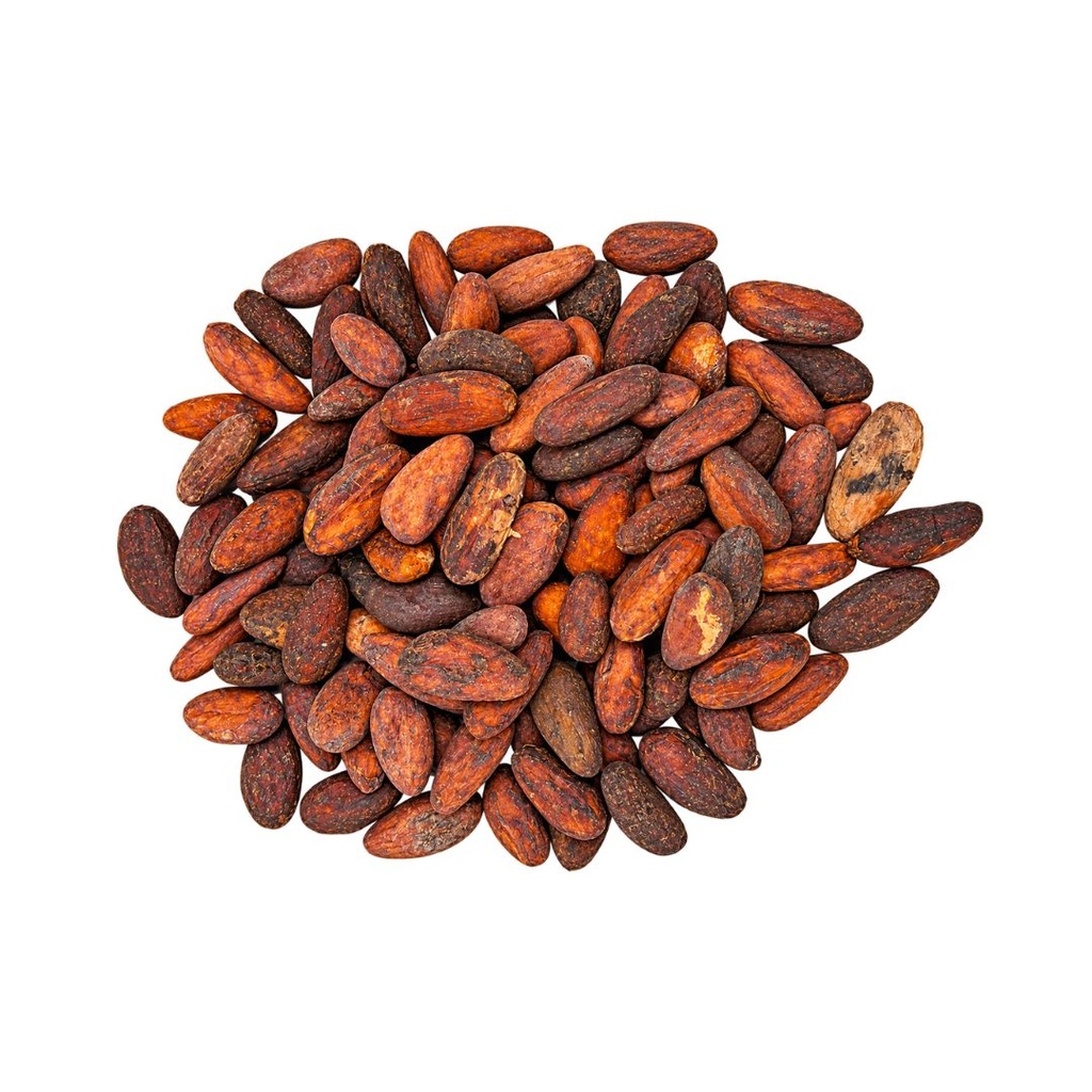 Semillas de Cacao x 1kg