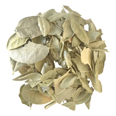 [YHBOLDPQ5001] Boldo x 500grs x 1u