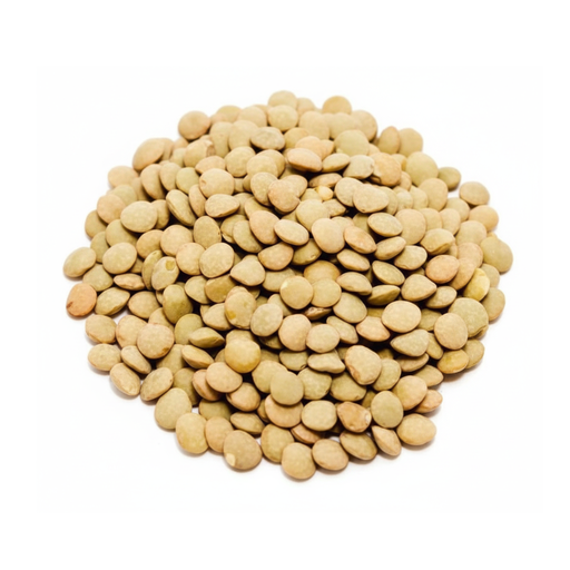 [CLLENJBS001] Lentejon x 1kg