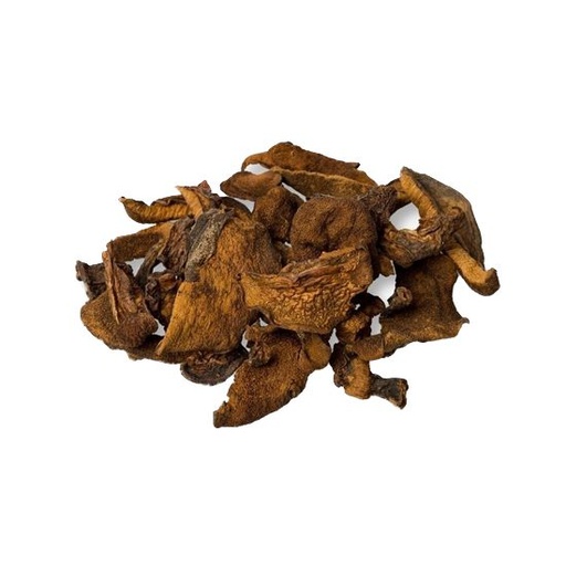 [FDHONSBPBS015] Hongos secos de pino Boletus Peru x 15kg